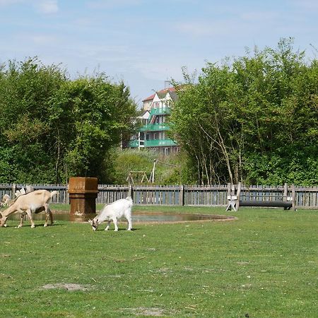 Huize De Duinen Aparthotel Bergen aan Zee Eksteriør bilde