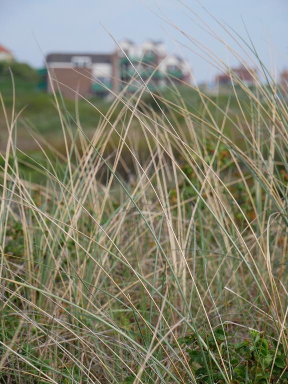 Huize De Duinen Aparthotel Bergen aan Zee Eksteriør bilde
